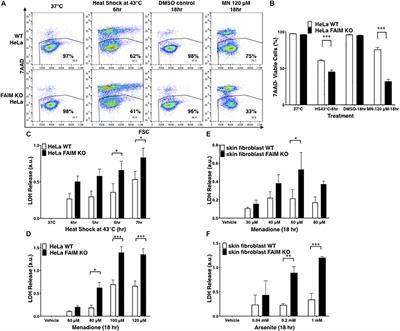 FAIM Is a Non-redundant Defender of Cellular Viability in the Face of Heat and Oxidative Stress and Interferes With Accumulation of Stress-Induced Protein Aggregates